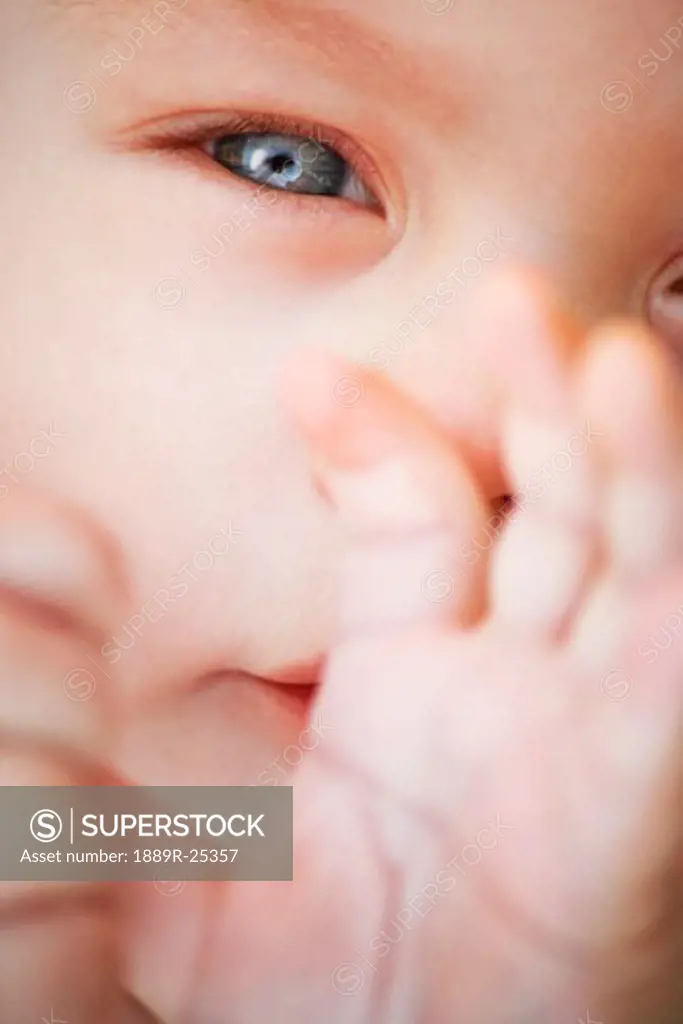 Closeup of baby's face and hands
