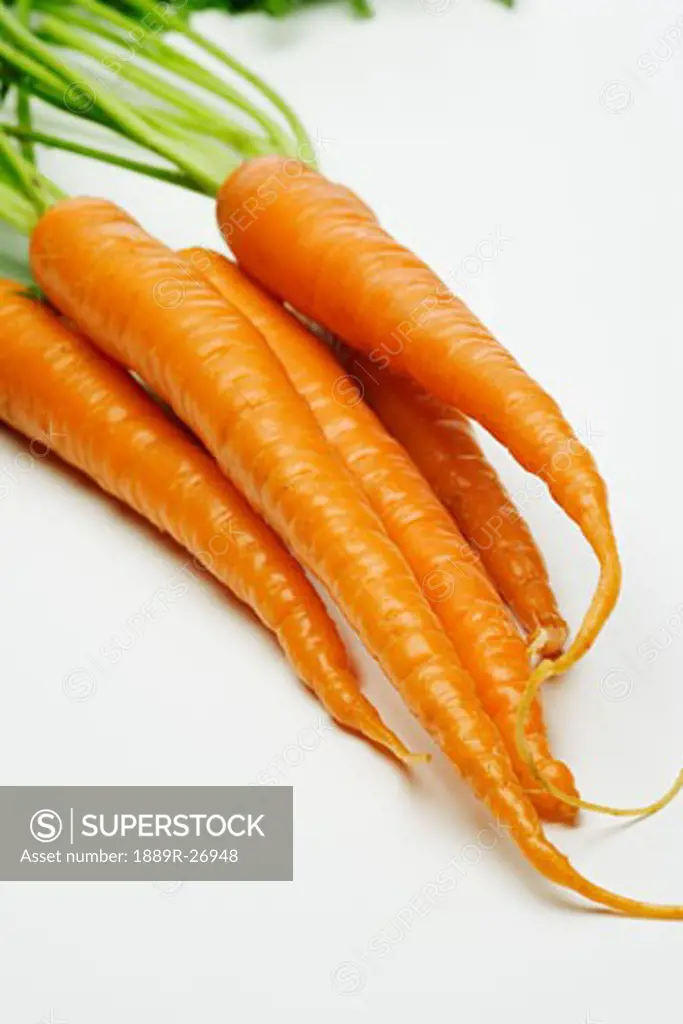 Bundle of fresh carrots