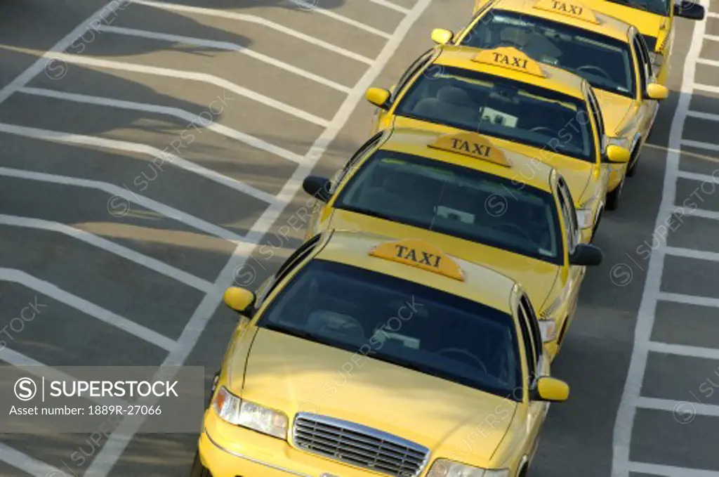 Row of taxi cabs