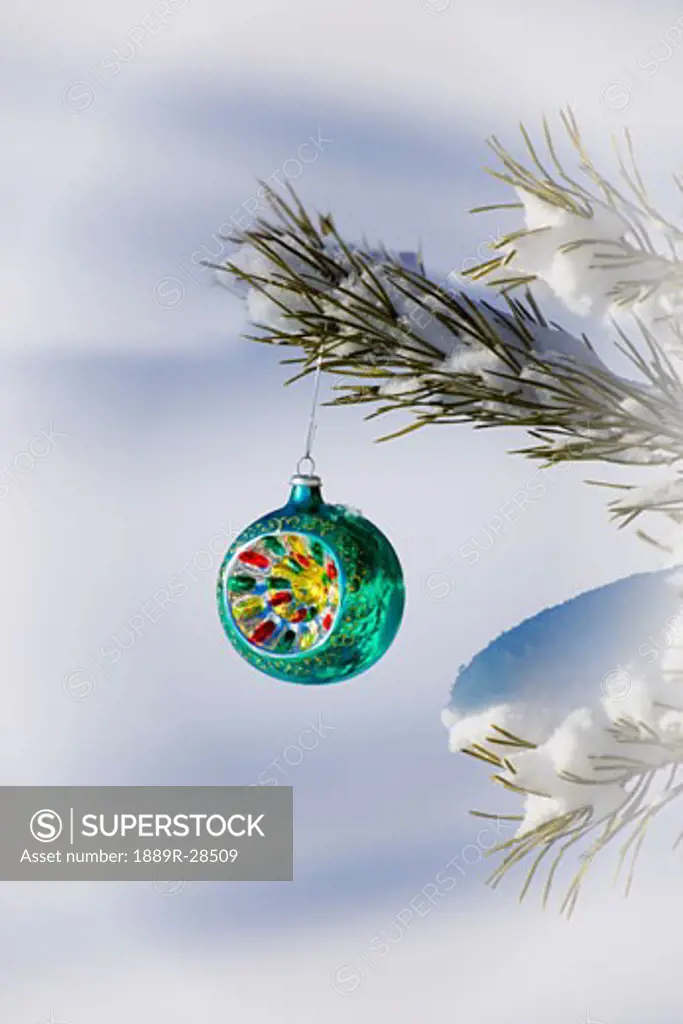 Christmas ornament hanging from a tree