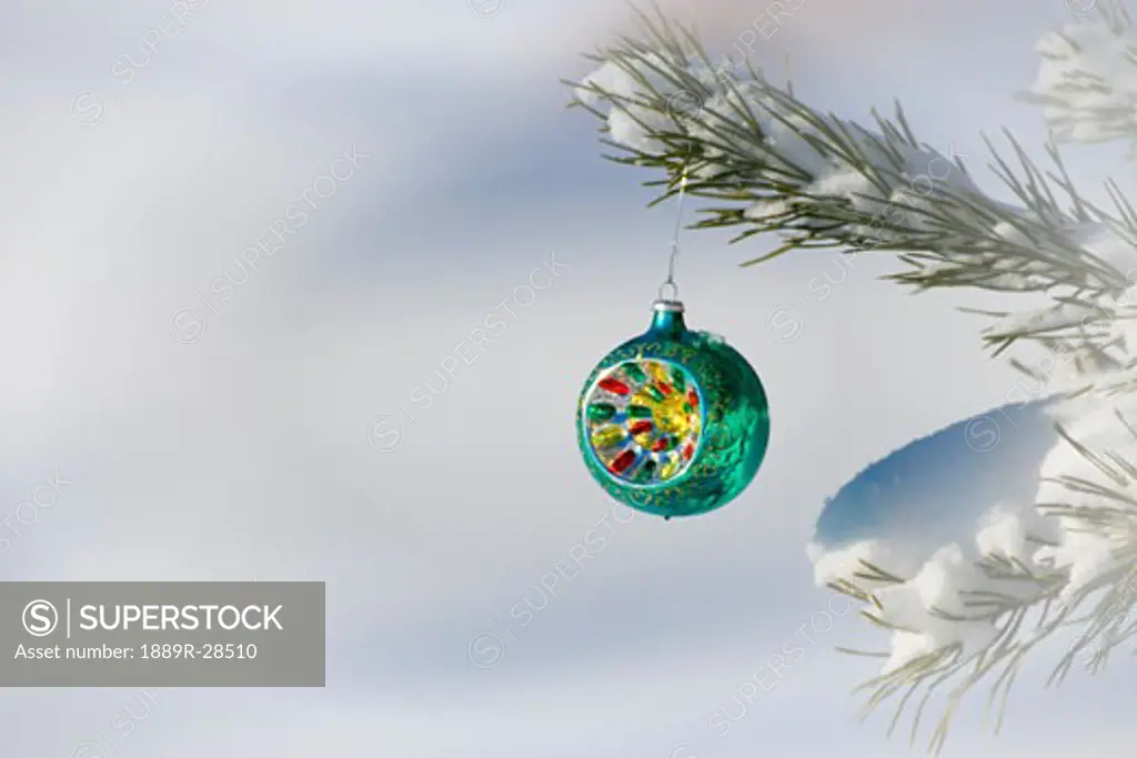 Christmas ornament hanging on a tree