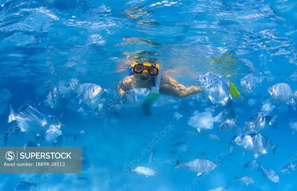Girl snorkeling in the Caribbean