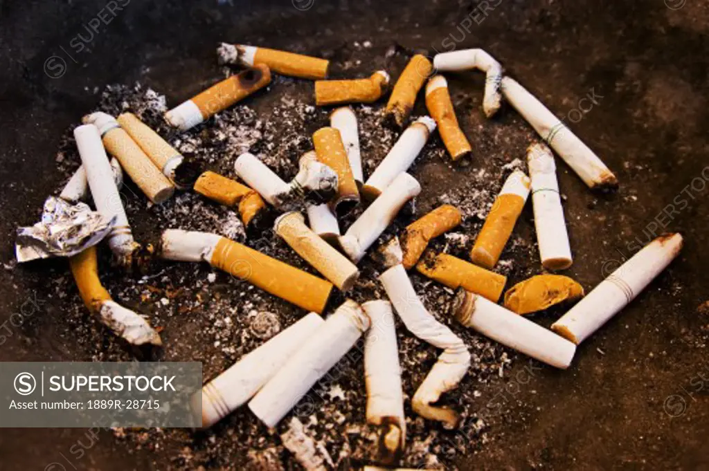 A collection of cigarette butts