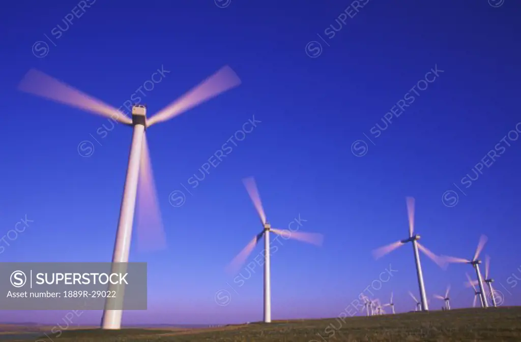 Wind farm in Alberta, Canada