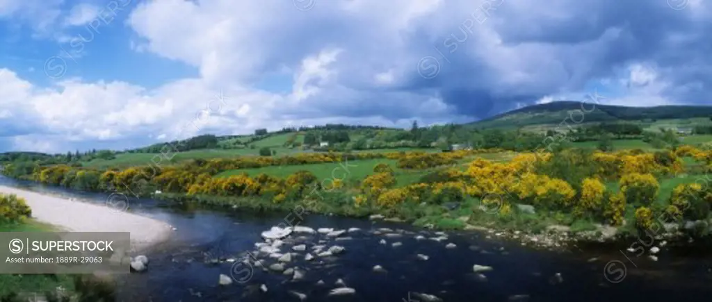 River Liffey in County Wicklow, Ireland