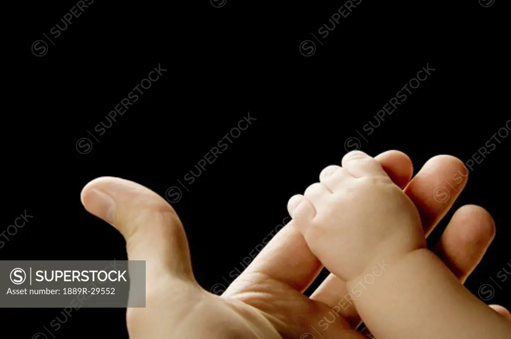 Baby hand grasping adult finger
