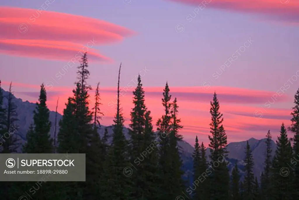 Sunset on forest and mountains