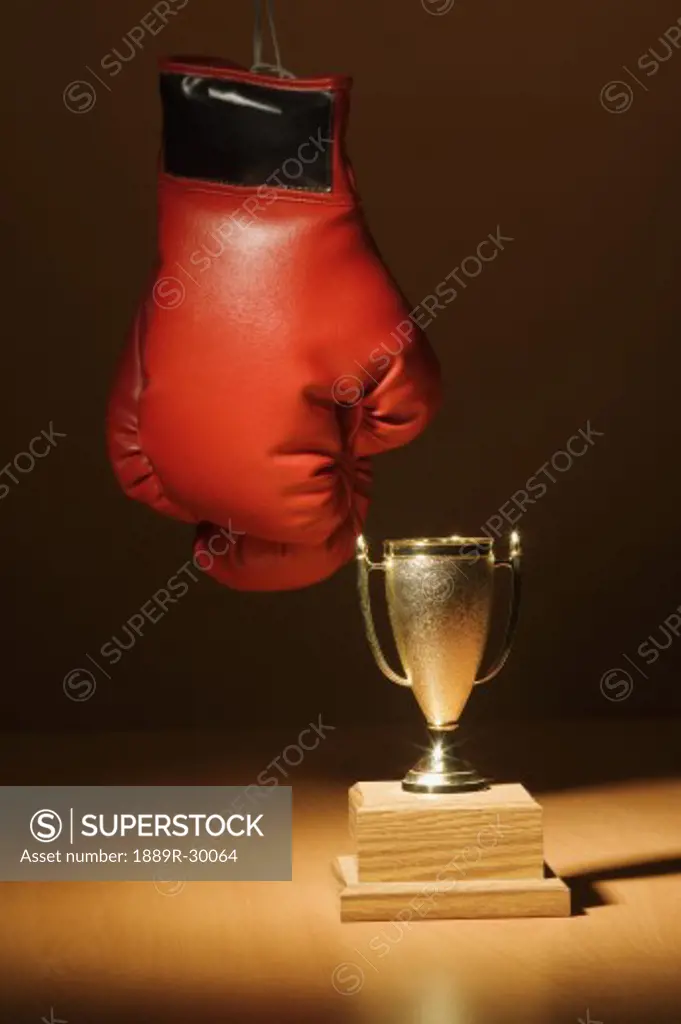 Boxing gloves and trophy