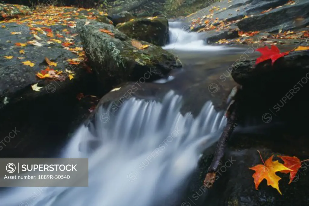 Stream in Shenandoah National Park, Virginia