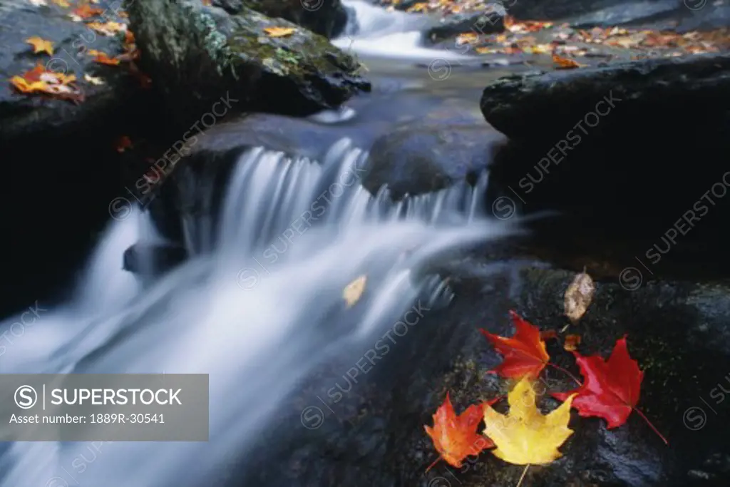 Stream in Shenandoah National Park, Virginia