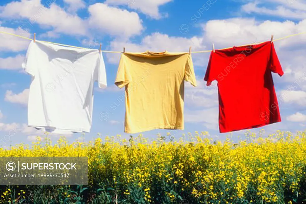 Clothes hanging to dry on clothesline