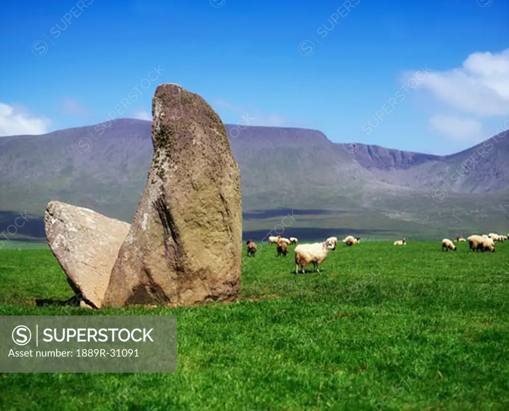 Archaelogy, Megalithic Dolmens, Dingle Peninsula, Tomb at Ardamor, Ireland