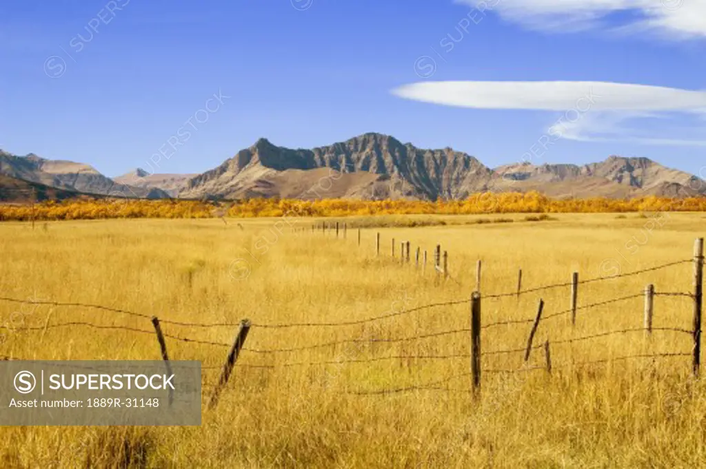 Fence line and mountain in the fall