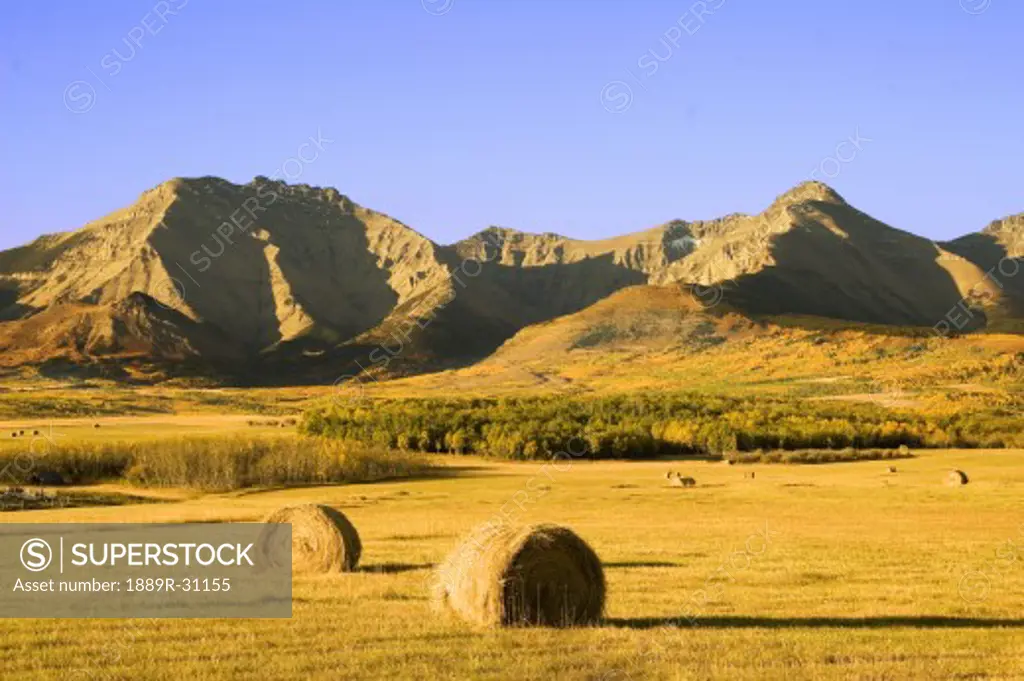 Hay bales and mountains in Alberta