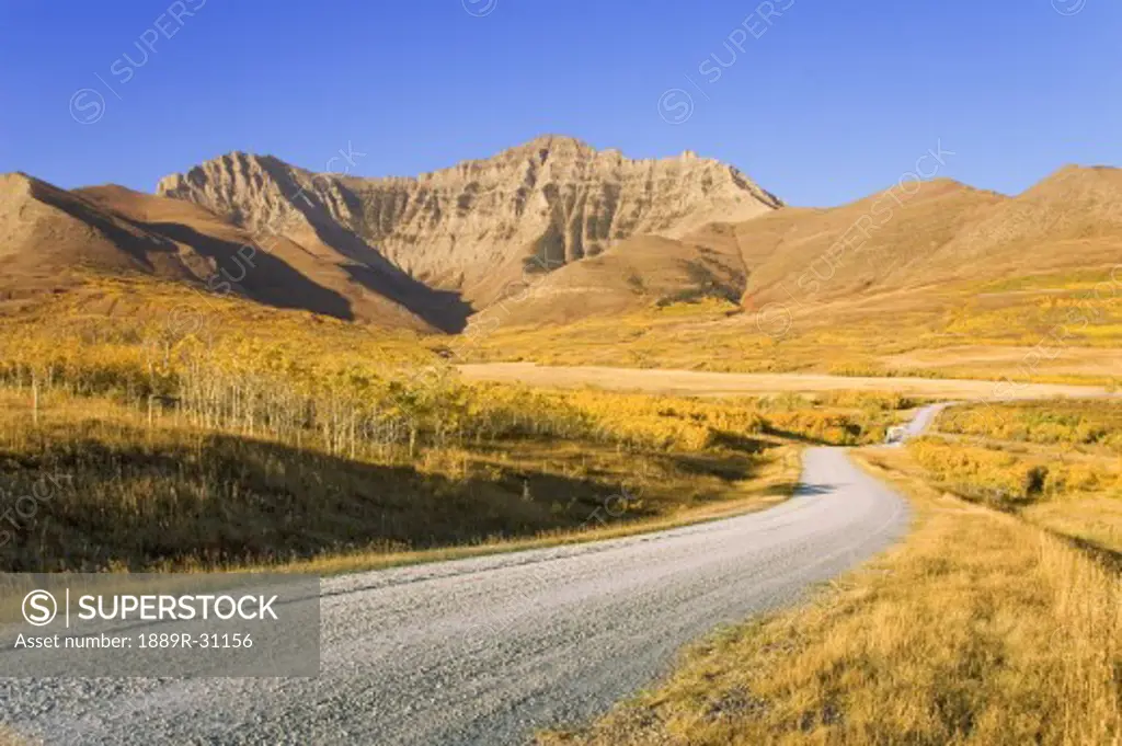 Road in autumn through the mountains in Alberta  