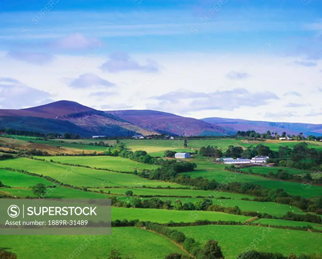 Farmscape from Sugarloaf Mountain, Co Wicklow, Ireland