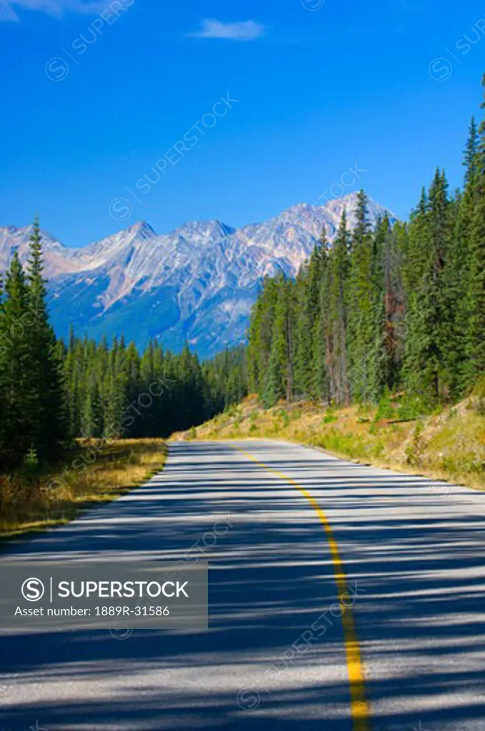 Mountain road with morning shadows, Jasper National Park, Alberta, Canada
