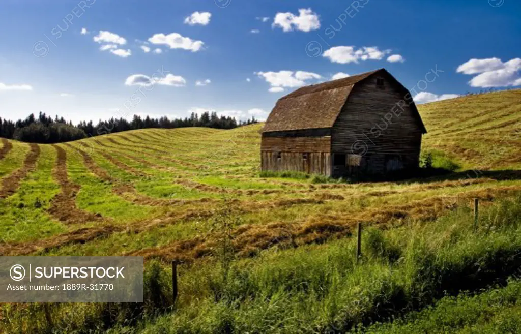 Old barn in a field