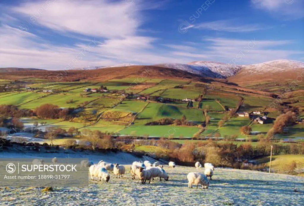 The Sperrins in winter, Co Tyrone, Ireland