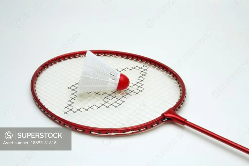 Badminton sports