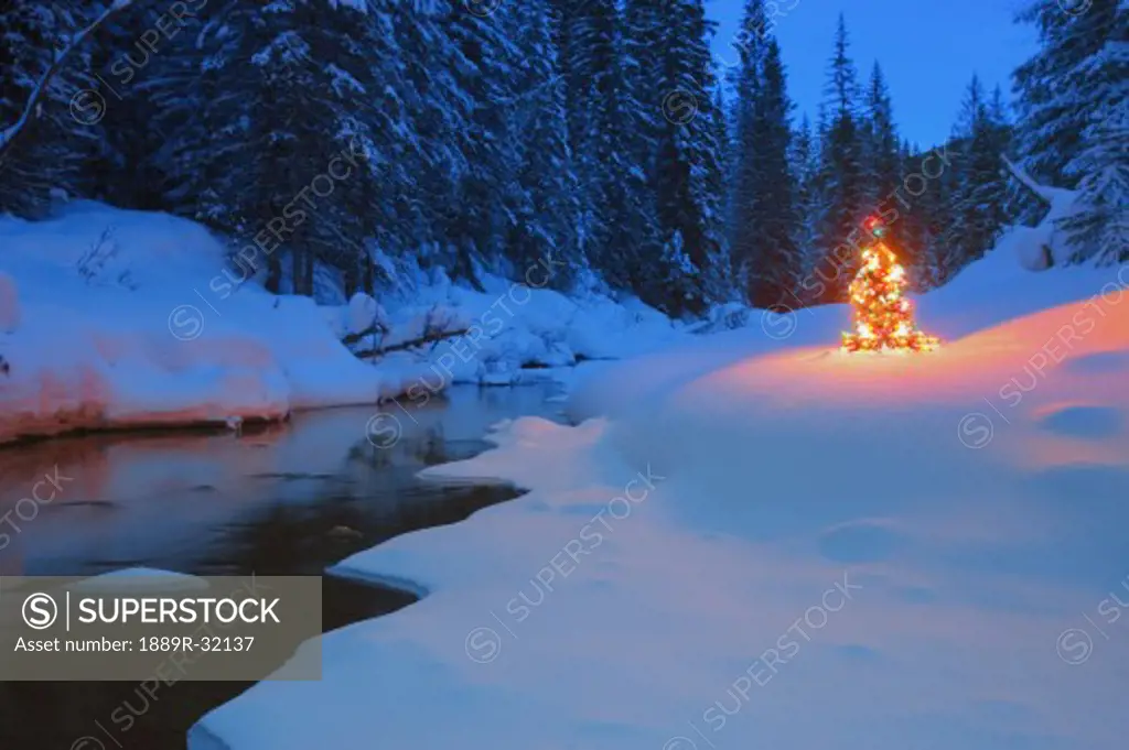 Glowing Christmas tree by mountain stream  