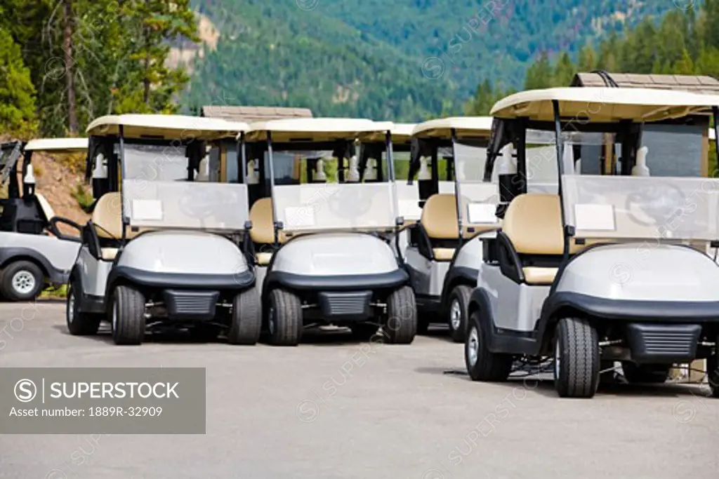 Parked golf carts