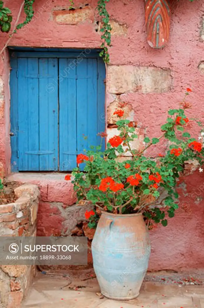 Blue window and flower pot, Hania, Crete, Greece  