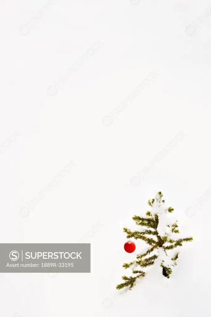 Christmas ornament hanging on a tree branch