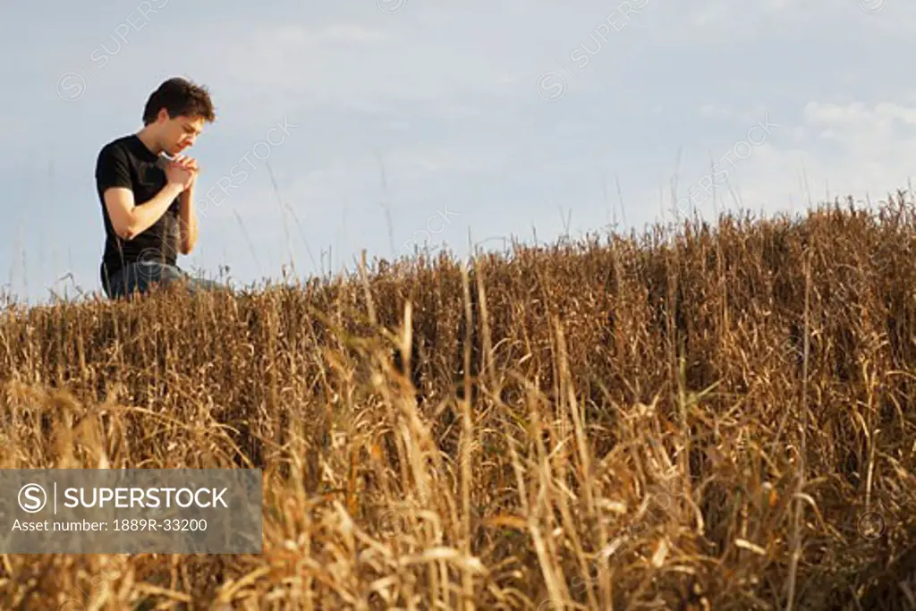 Man praying in a wheat field