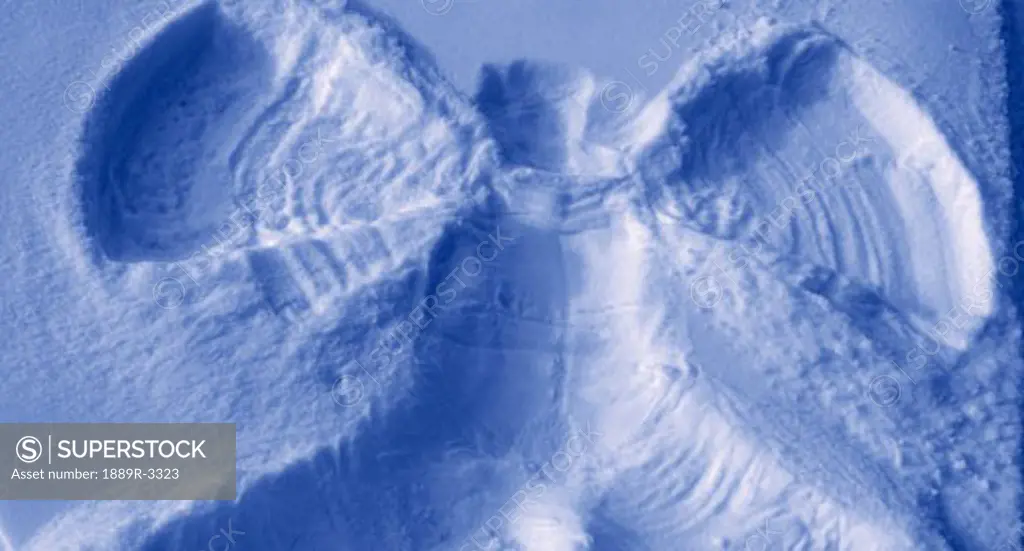 A snow angel