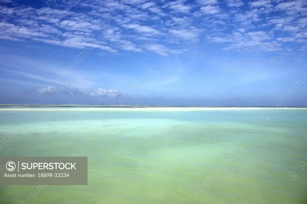 Indian Ocean, Zanzibar  