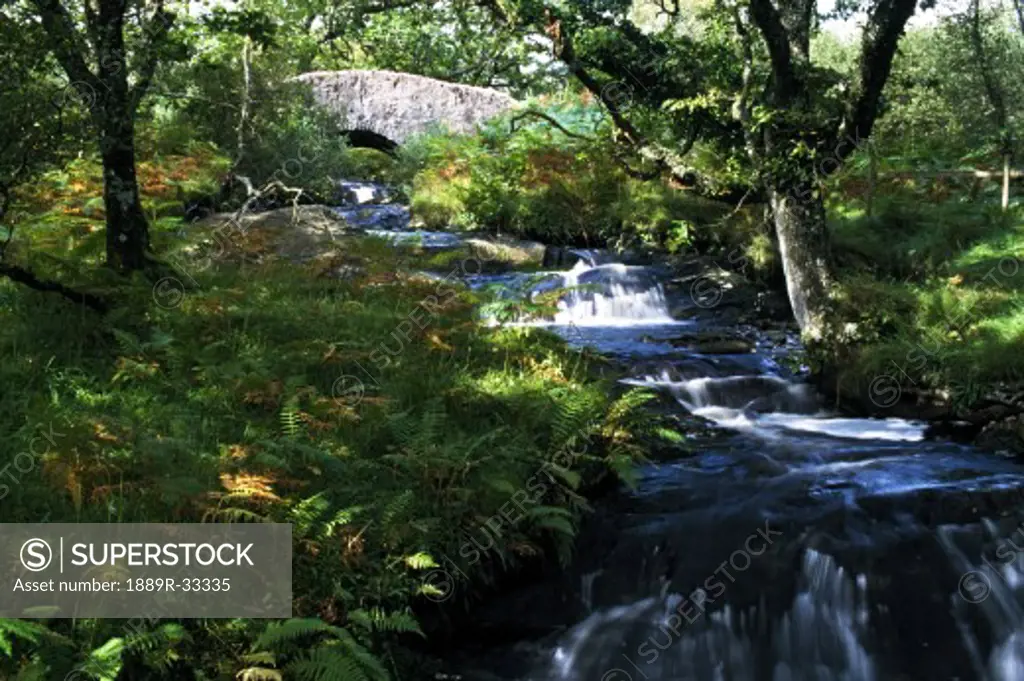 Scenic waterfall, Highlands, Scotland