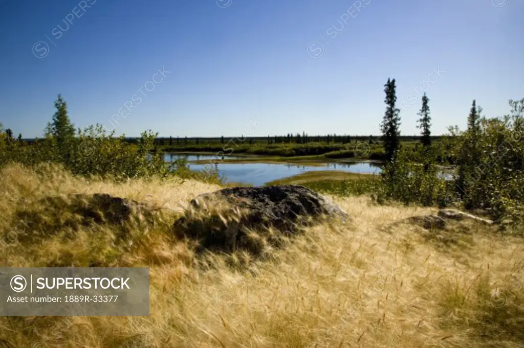Fields in Inuvik, Northwest Territories, Canada