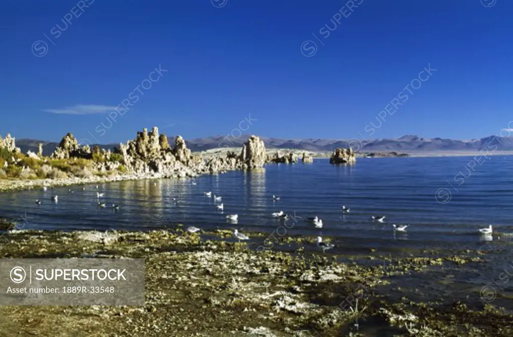 Rock formations, Mono Lake, California, USA