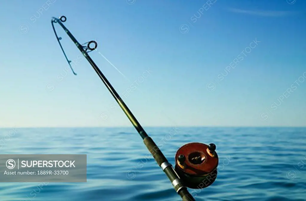 A fishing rod & reel