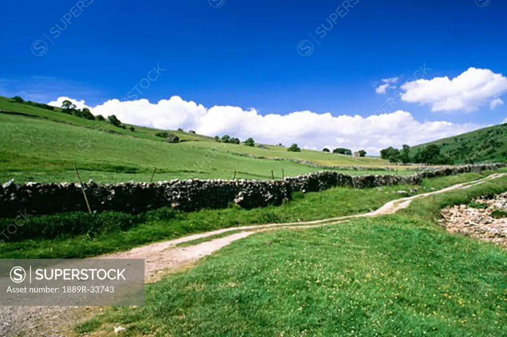Road and stone fences, Yorkshire Dales National Park, England