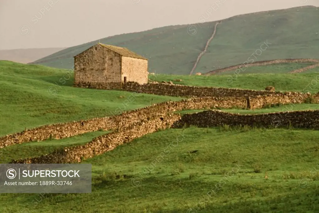Stone fences and fields, Yorkshire Dales National Park, England