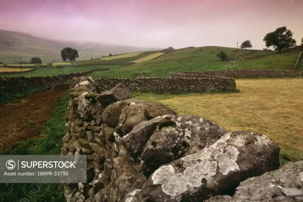 Stone fences and fields, Yorkshire Dales National Park, England