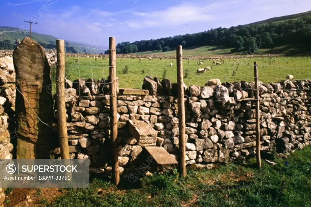 Stone fence, Yorkshire Dales National Park, England