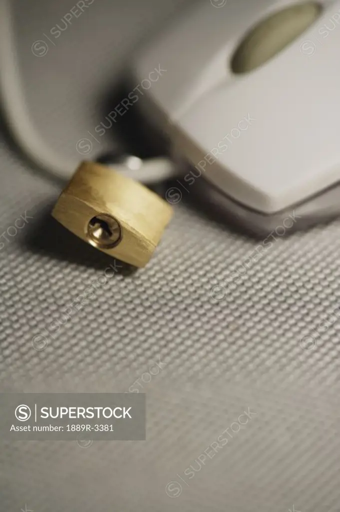Padlocked computer mouse