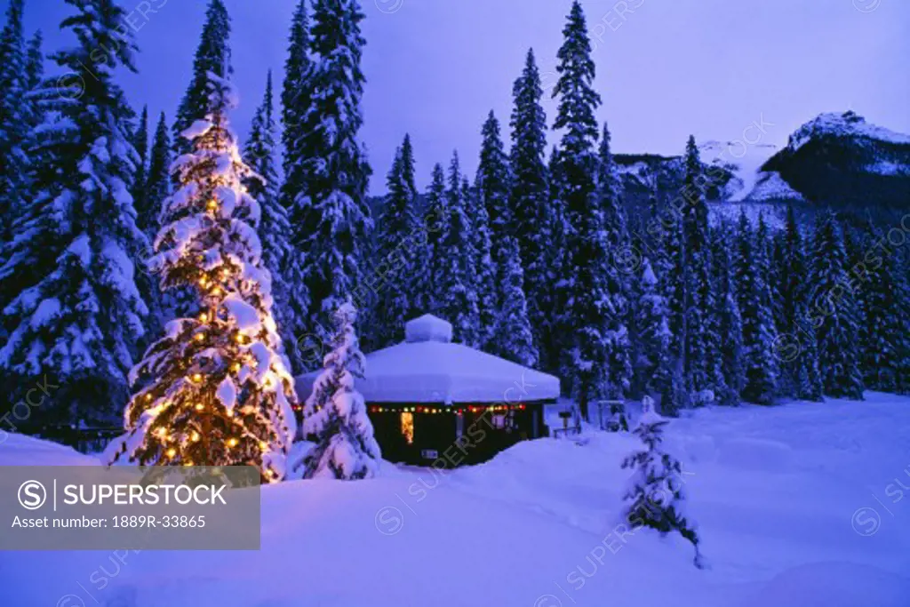 Tree with Christmas lights, Emerald Lake, Yoho National Park, British Columbia, Canada