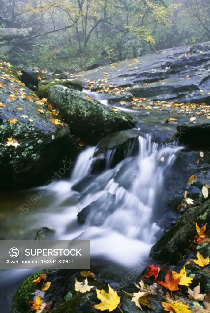 Small stream, Shenandoah National Park, Virginia, U.S.A.