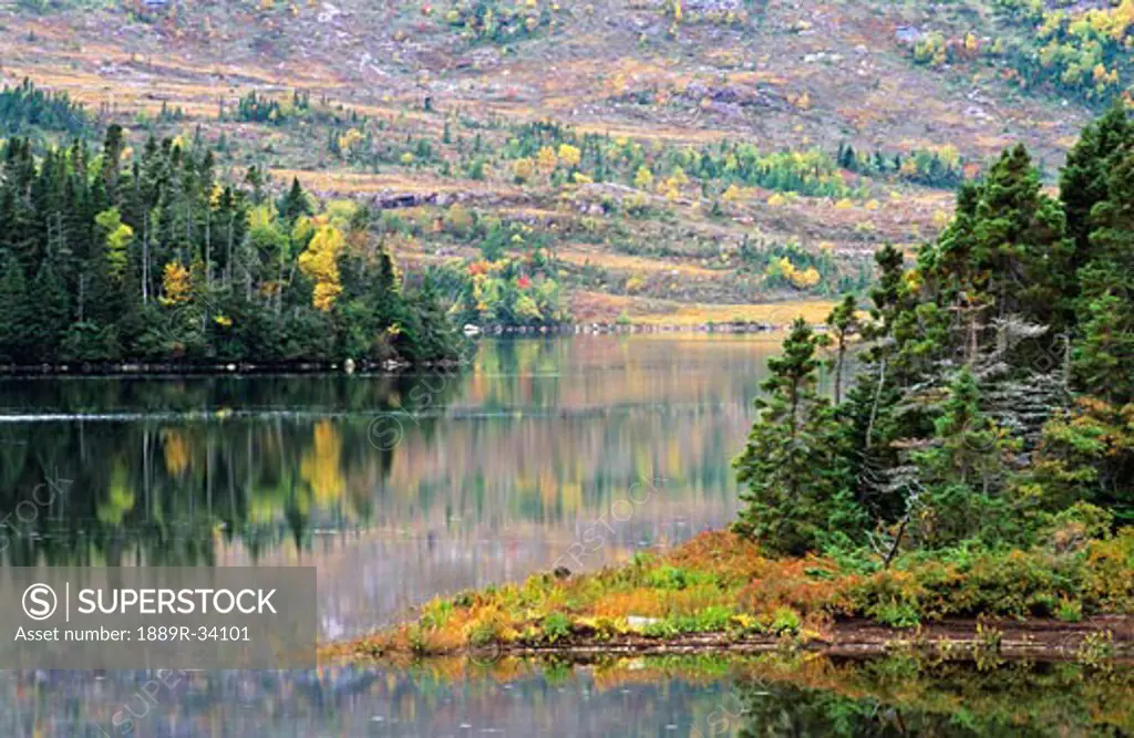 Lake and trees in Fall near Swift Current, Burin Peninsula, Newfoundland, Canada