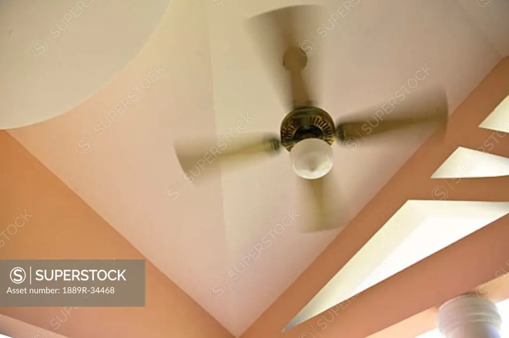 Ceiling fan  