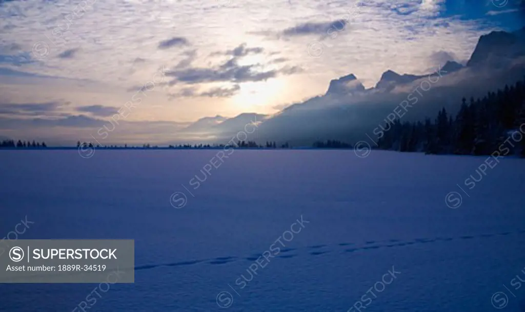 Tracks across the snowy ground, Canmore, Alberta, Canada