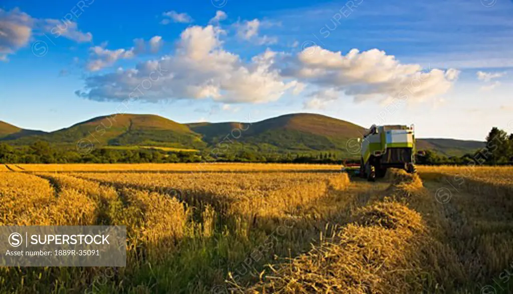 Combine harvester in wheat field near Clogheen, Ireland