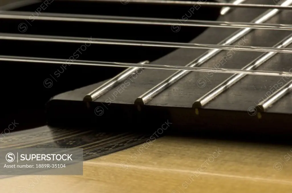 Close up of a stringed instrument
