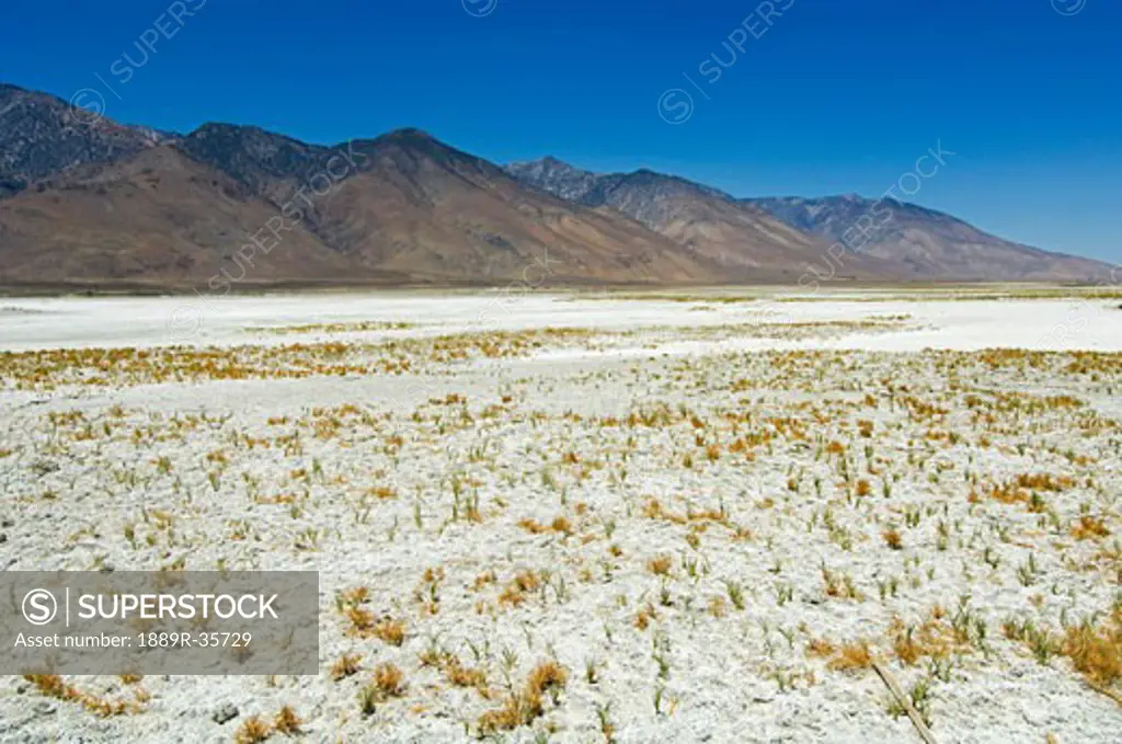 Owens Lake, a dry lake bed, in the foothills of the Sierra mountain range, California, USA