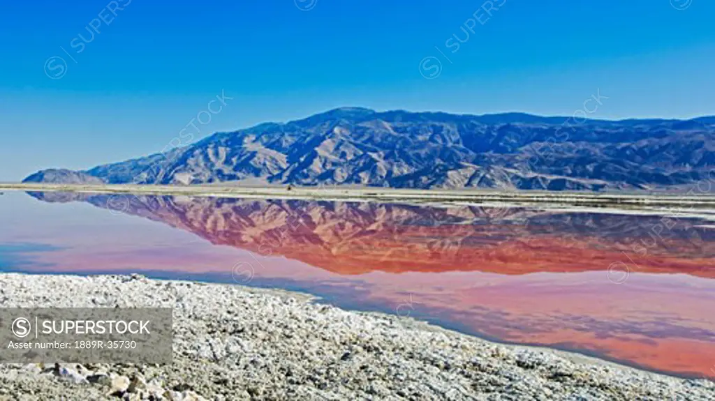 A mountain reflection in the algae of Owens Lake, California, USA  