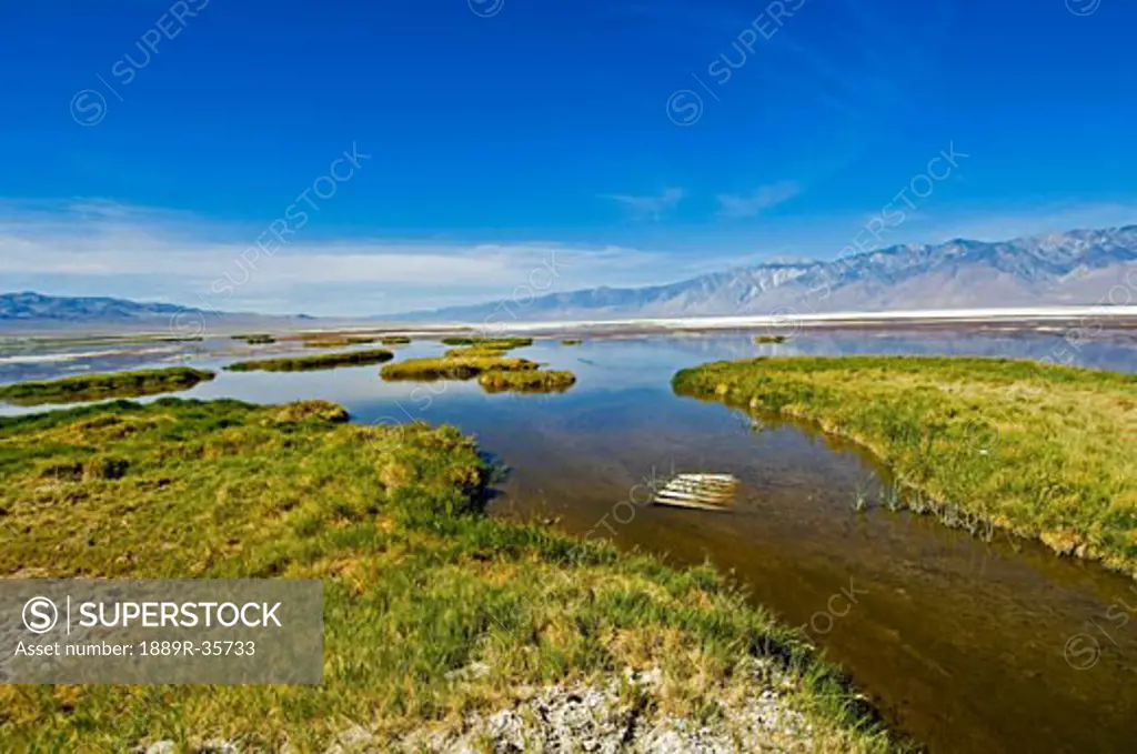 A wetland in the lake bed of Owens Lake, California, USA